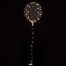 Crystal Clearz Jumbo Balloon & 50 White LED's
