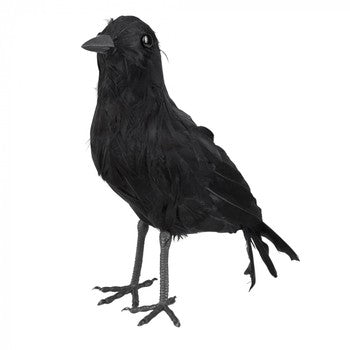 Crow Black 23x10cms