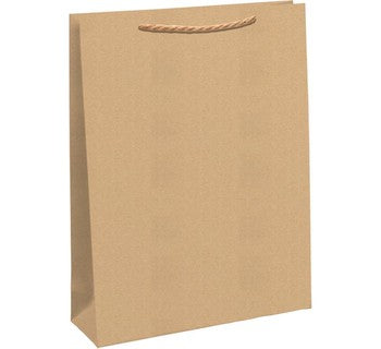 Brown Kraft Gift Bag