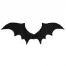 Fancy Dress Bat Theme Outfit